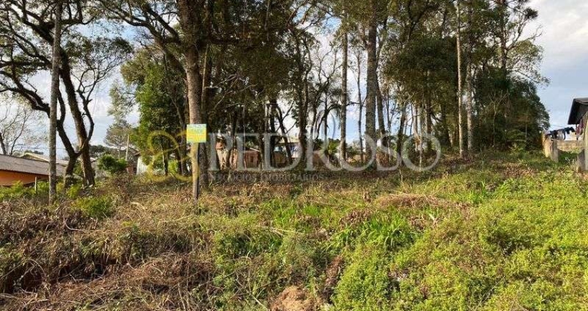 Terreno à venda na Rua Castor Gomes, S/N, São Gabriel, União da Vitória