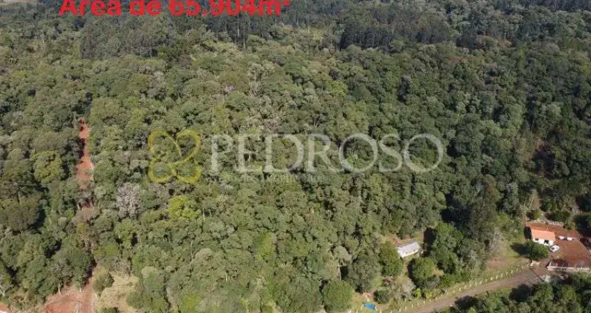 Fazenda à venda na Colonia Anta Gorda, Zona Rural, Porto Vitória