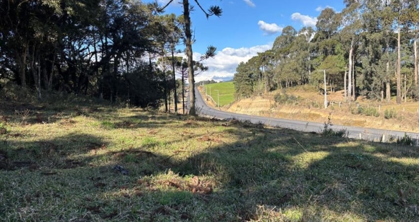 Oportunidade Única! Área de 6,5 Hectares com Potencial Múltiplo em Urubici - SC
