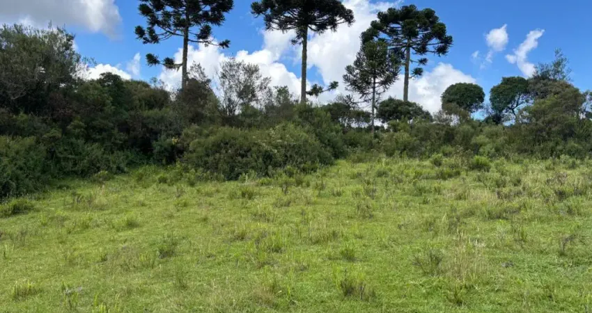 *Terreno de 24 hectares* com excelente potencial de aproveitamento e *vista panorâmica de 360 graus, localizado a apenas **2,5 km da SC-110* (acesso asfaltado), na *Vila Pericó