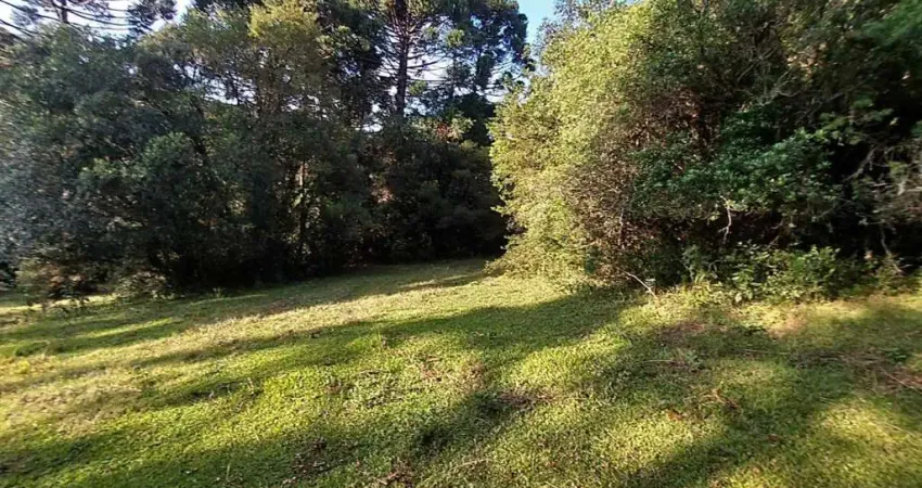 Terreno à venda na rua geral santa teresinha do salto, s/n°, Santa Terezinha do Salto, Lages