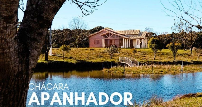 Chácara / sítio com 3 quartos à venda na Avenida Júlio de Castilhos, 310, Apanhador, São Francisco de Paula