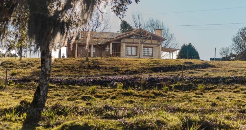 Chácara / sítio com 3 quartos à venda na RODOVIA BR 453, KM 176,5, 310, Vila Seca, Caxias do Sul
