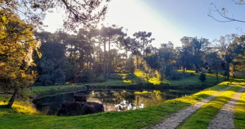 Chácara / sítio com 2 quartos à venda na Avenida Dante Marcucci, 3801, Fazenda Souza, Caxias do Sul