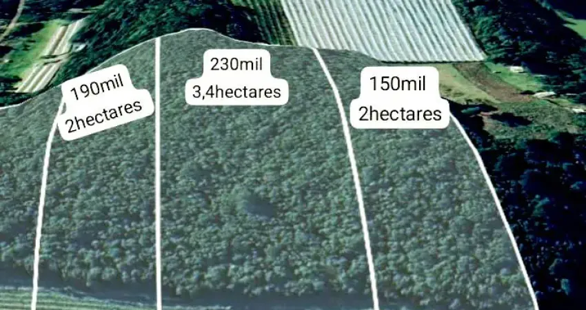Chácara / sítio com 1 quarto à venda na Av. Dante Marcucci, 3480, Fazenda Souza, Caxias do Sul