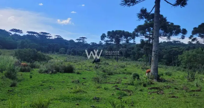 Chácara / sítio com 1 quarto à venda na Avenida Dante Marcucci, 12, Fazenda Souza, Caxias do Sul