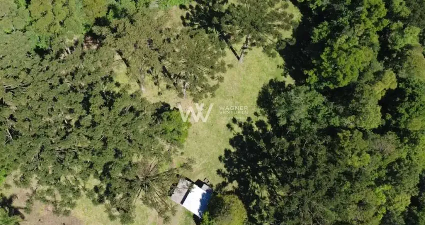 Chácara / sítio com 1 quarto à venda na Travessão Jacinta, 19, Zona Rural, Flores da Cunha