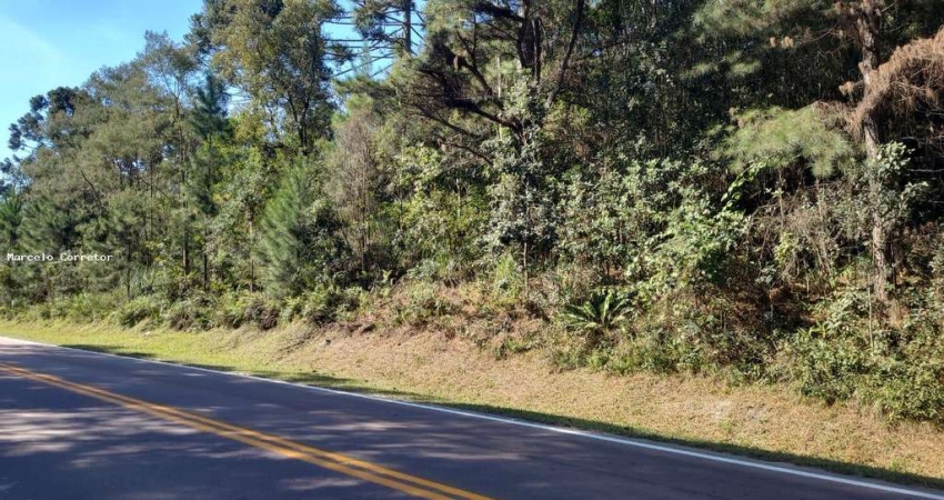 Terreno comercial à venda no Trigolândia, Piên 