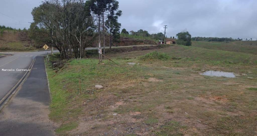 Terreno comercial à venda no Trigolândia, Piên 