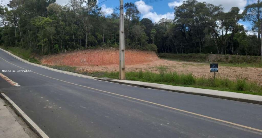 Terreno à venda na Avencal, Piên 