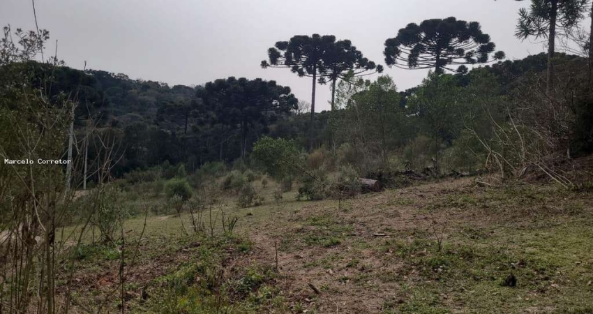 Terreno à venda em Taboão, Agudos do Sul 