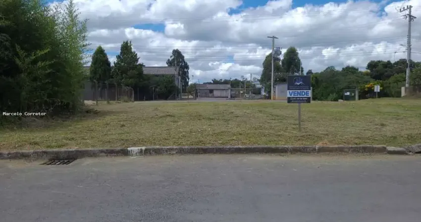 Terreno para Venda em São Bento do Sul, Boehmerwald
