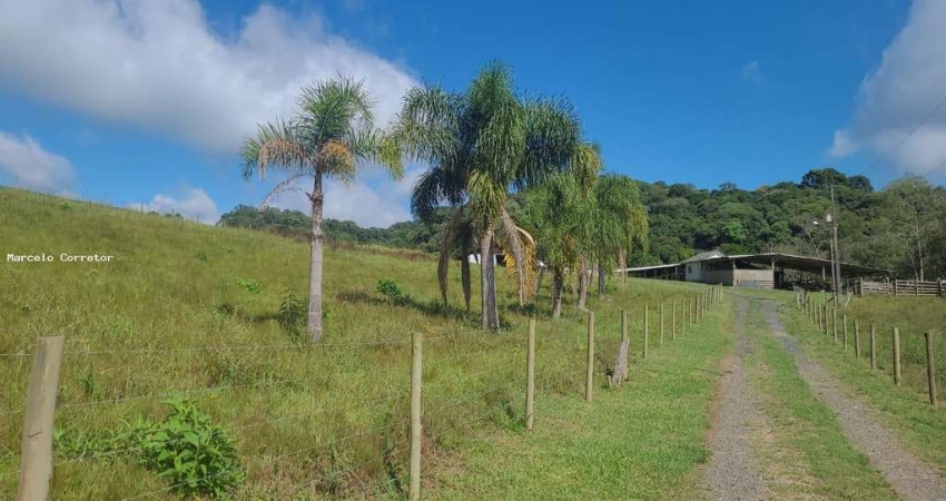 Chácara / sítio à venda no Trigolândia, Piên 