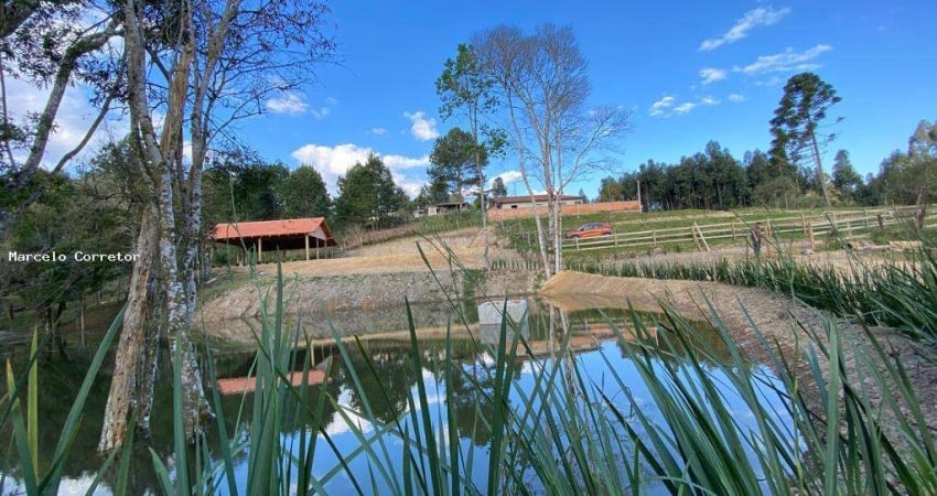 Chácara / sítio à venda no Trigolândia, Piên 