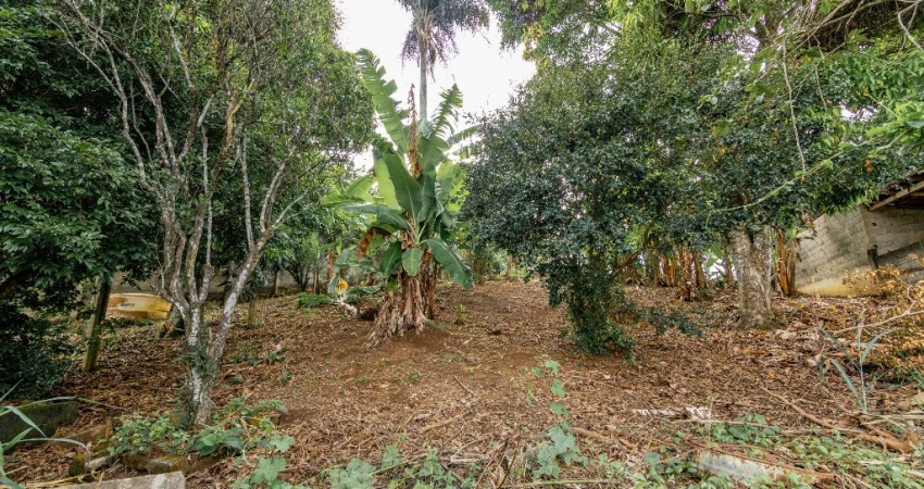 Casa a venda  no Democrata – Um refúgio verde a 5 minutos do Centro!
