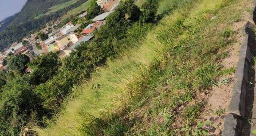 Terreno à venda no Santo Antônio, Sarzedo 