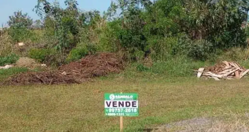 Terreno à venda na R GRALHA AZUL, 500, Jardim Primavera, Floresta