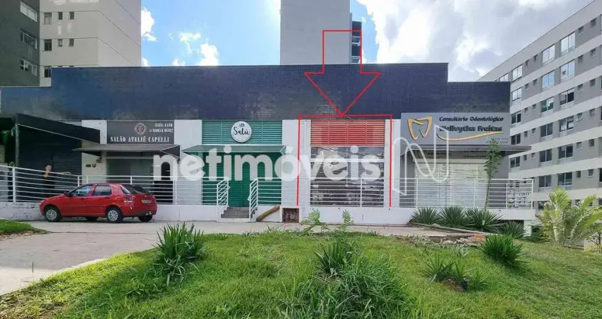 Ponto comercial à venda na Avenida Deputado Cristóvam Chiaradia, 410, Buritis, Belo Horizonte