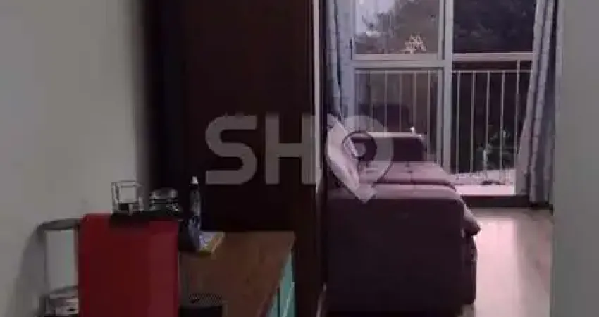 Apartamento com 3 quartos à venda na Rua Alexandre Levi, 150, Cambuci, São Paulo