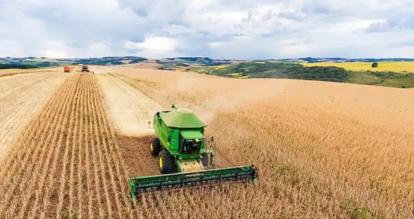 Oportunidade: Fazenda 62 Alqueires dentro de Goiânia