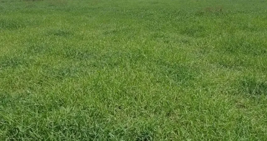 Fazenda dupla aptidão, próximo à ferrovia norte/sul, próximo a silos