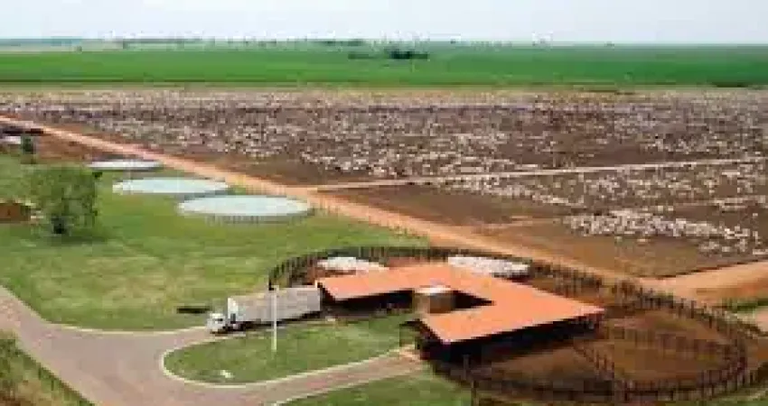 Fazenda dupla aptidão, próximo à ferrovia norte/sul, próximo a silos