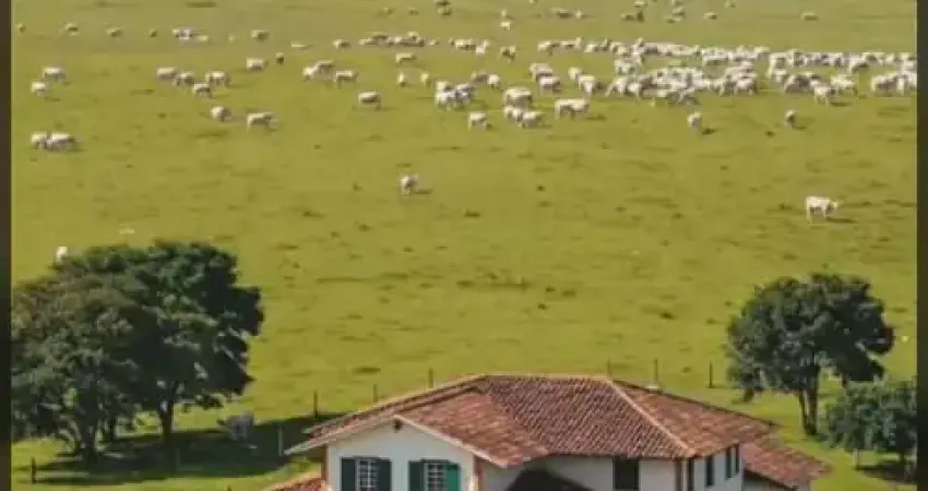 Fazenda para + de 10mil cabeças de gado, projeto de pista de pouso aprovado