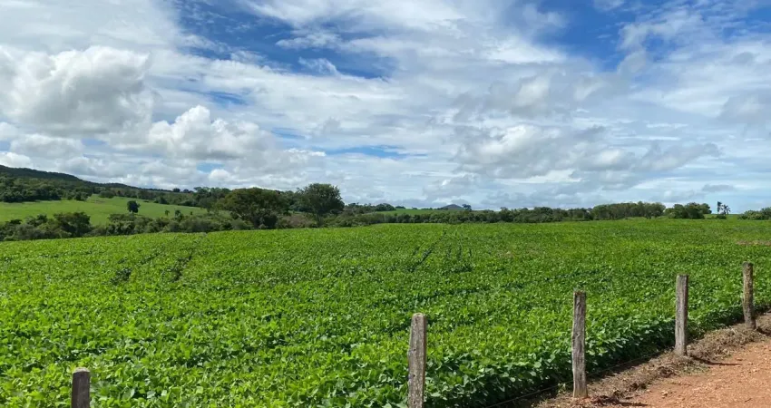 Fazenda 100% cultura, 36 alqueires (com 27 alqueires produzindo soja)