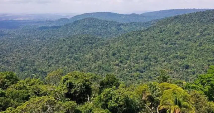 30 alqueires goiano de reserva de carbono em goiás, documentação ok, chapada dos veadeiros