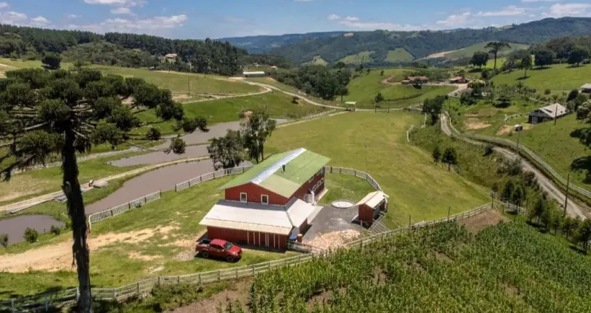Esse sítio com 65.000 m² em alfredo wagner/sc é perfeito para famílias que sonham em viver com qualidade de vida, natureza e tranquilidade.