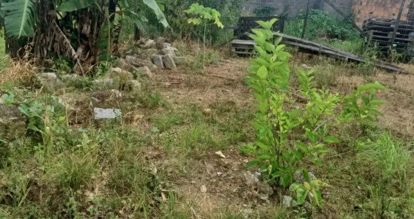 Terreno aririu de 225 m2 - 175 mil compra e venda. palhoça sc - ideal para construção de casas