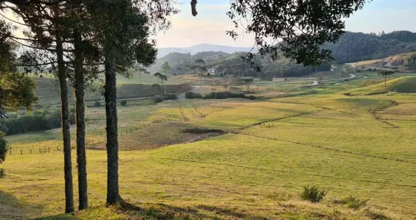 Terreno à venda na Rua Vargedo, s/n, Vargedo, Rancho Queimado