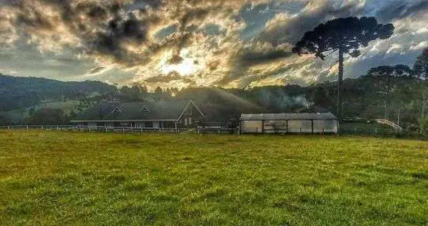 Chácara / sítio com 7 quartos à venda na CEP Município, Centro, Rancho Queimado