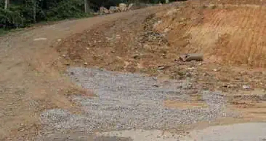 Terreno à venda na Av. Cel Antônio Lehmkuhl, s/n, Vargem Grande, Águas Mornas