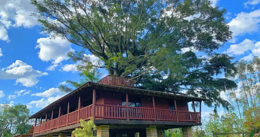 Ponto comercial à venda na Estrada Geral, 368, Centro, Praia Grande