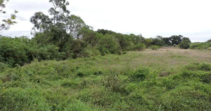 Terreno comercial para alugar na Rodovia Francisco Magno Vieira, Campeche, Florianópolis