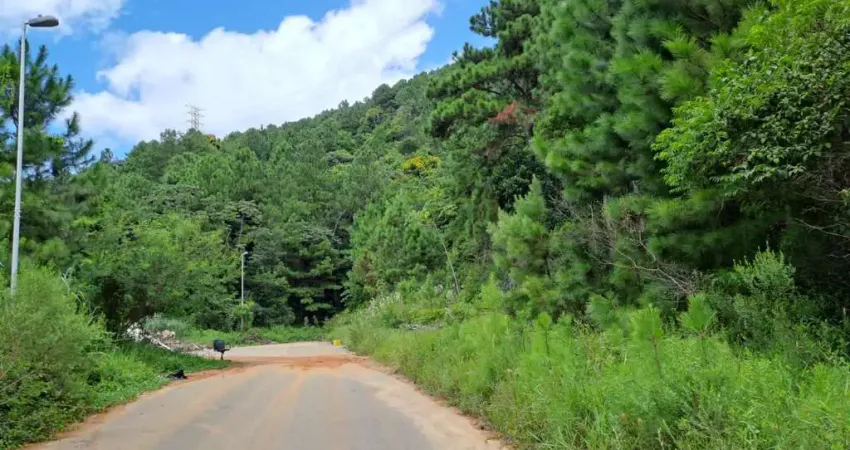Terreno à venda na Rodovia Admar Gonzaga, 3277, Itacorubi, Florianópolis