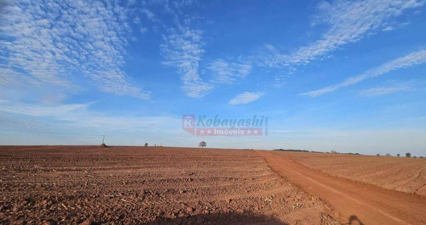 Sítio à venda, 182368 m² por R$ 1.510.000,00 - Zona Rural - Pereira Barreto/SP