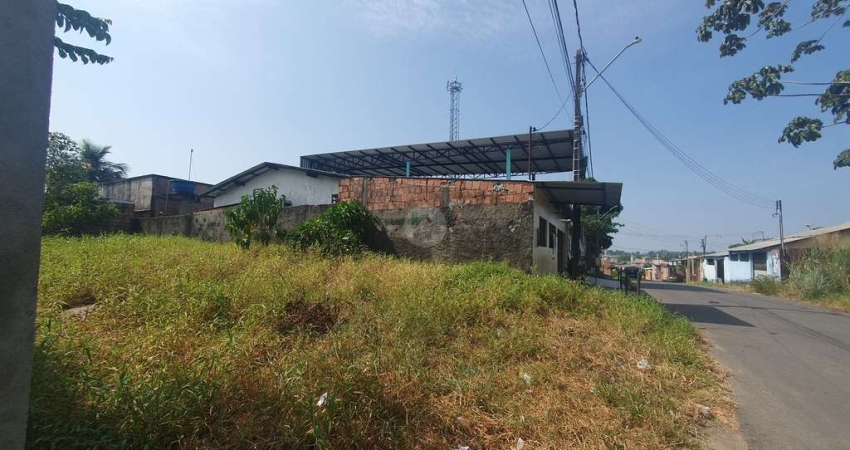 Terreno à venda na Rua Crisântemo Branco, 178, Lago Azul, Manaus