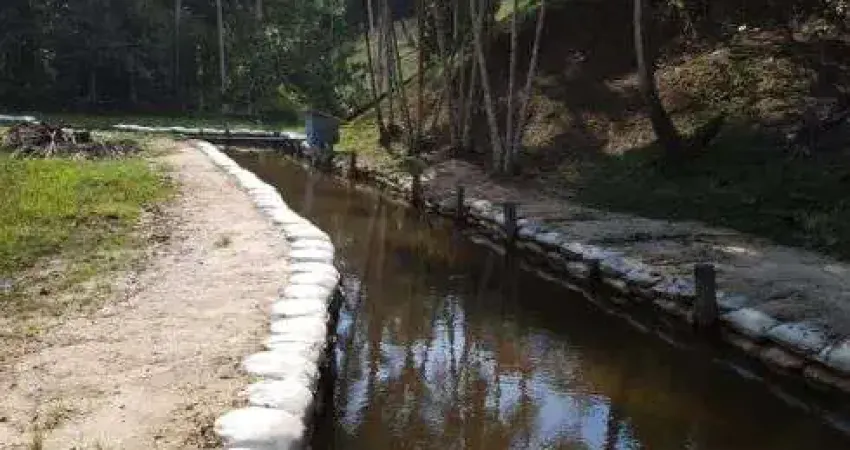 Chácara / sítio com 4 quartos à venda na Rua Governador Pimenta Bueno, 100, Centro, Rio Preto da Eva
