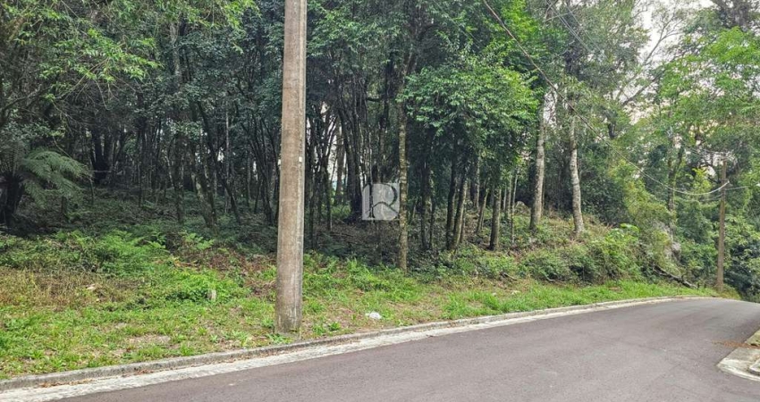 Terreno à venda na Rua Nestor Ruchel, Floresta, Gramado