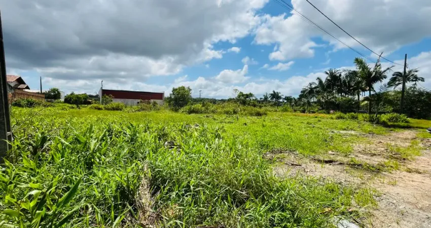 Terreno à venda no Colégio Agrícola, Araquari 