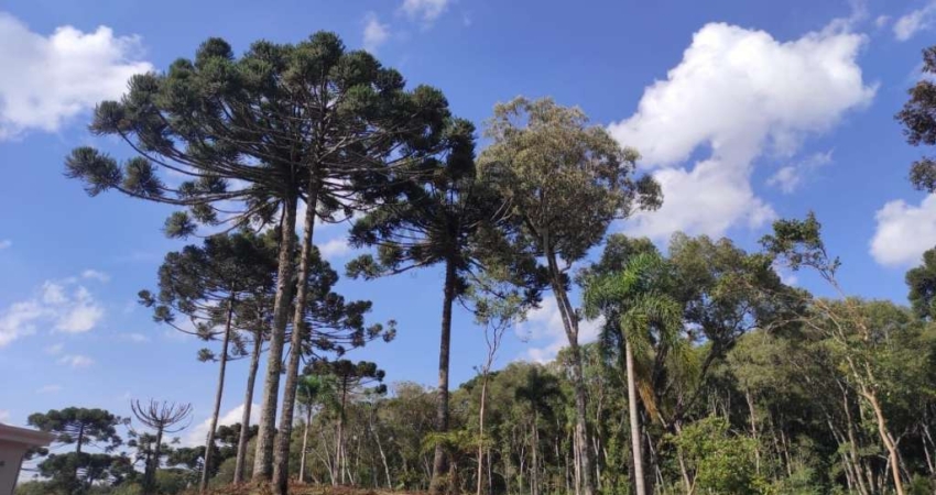 Terreno em condomínio fechado à venda na Anibal Antônio de Aguiar Maia, 13, Jardim Menino Deus, Quatro Barras