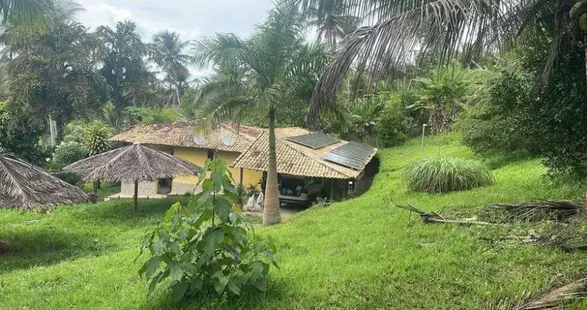 Fazenda/Sítio/Chácara para venda possui 32000 metros quadrados em Sítio do Conde - Conde - BA