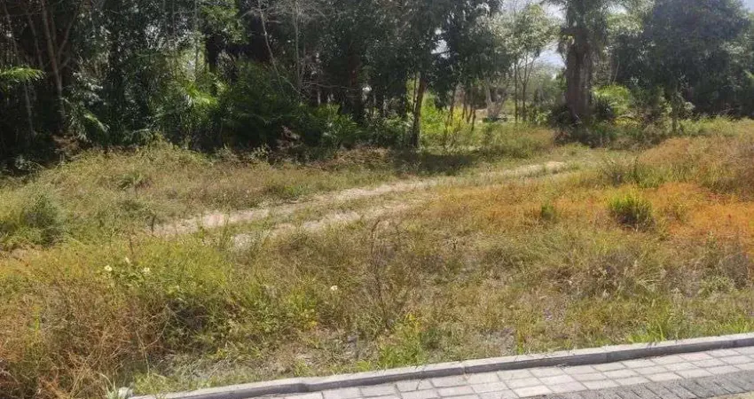Lote/Terreno para venda tem 1117 metros quadrados em Busca Vida (Abrantes) - Camaçari - BA
