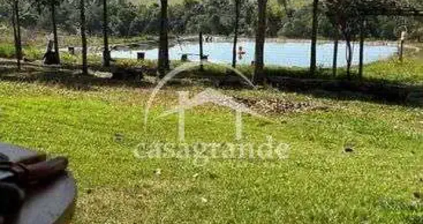 Fazenda à venda na Zona Rural, Monte Alegre de Minas 