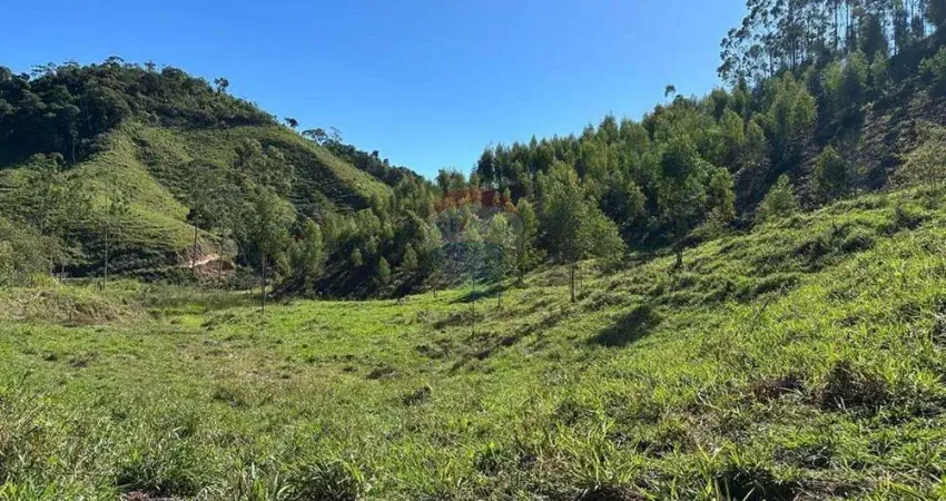 Fazenda em Braçanã para quem procura um excelente investimento ou tranquilidade.