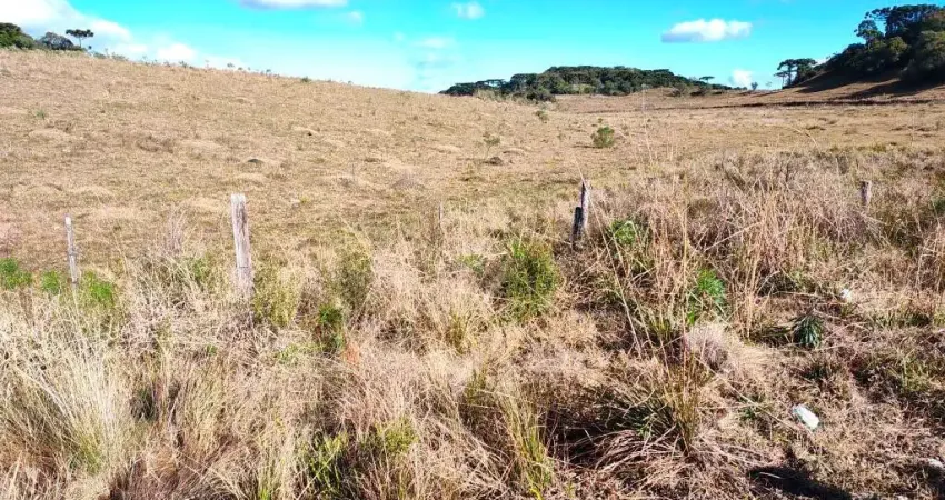 Chácara / sítio à venda em Criúva, Caxias do Sul 