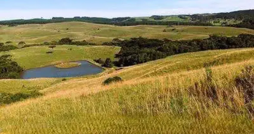 Chácara / sítio à venda na Vila Seca, Caxias do Sul 