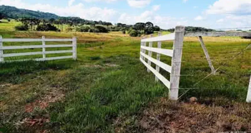 Chácara / sítio à venda em Criúva, Caxias do Sul 